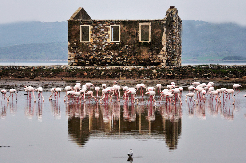 Boğaziçi Köyü: Bodrum'un Sessiz ve Doğayla Bütünleşen Balıkçı Köyü