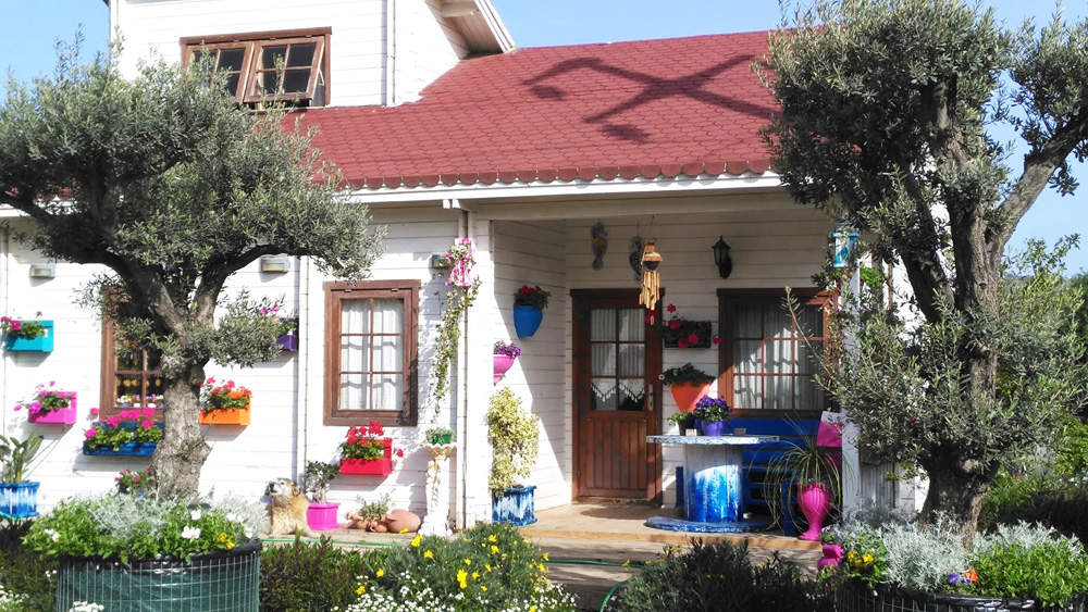 Bodrum'a Taşınmak: A'dan Z'ye Yaşam Rehberi