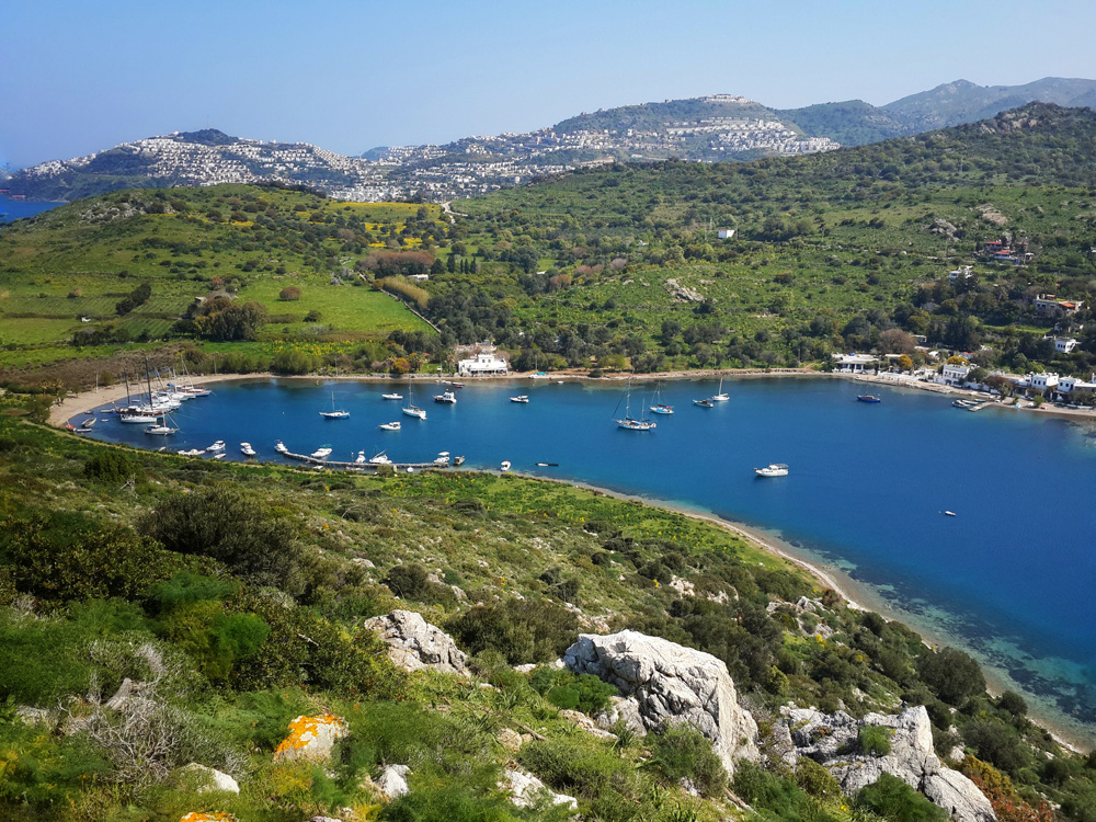 Gümüşlük Rehberi: Bodrum'un Bohem Ruhu